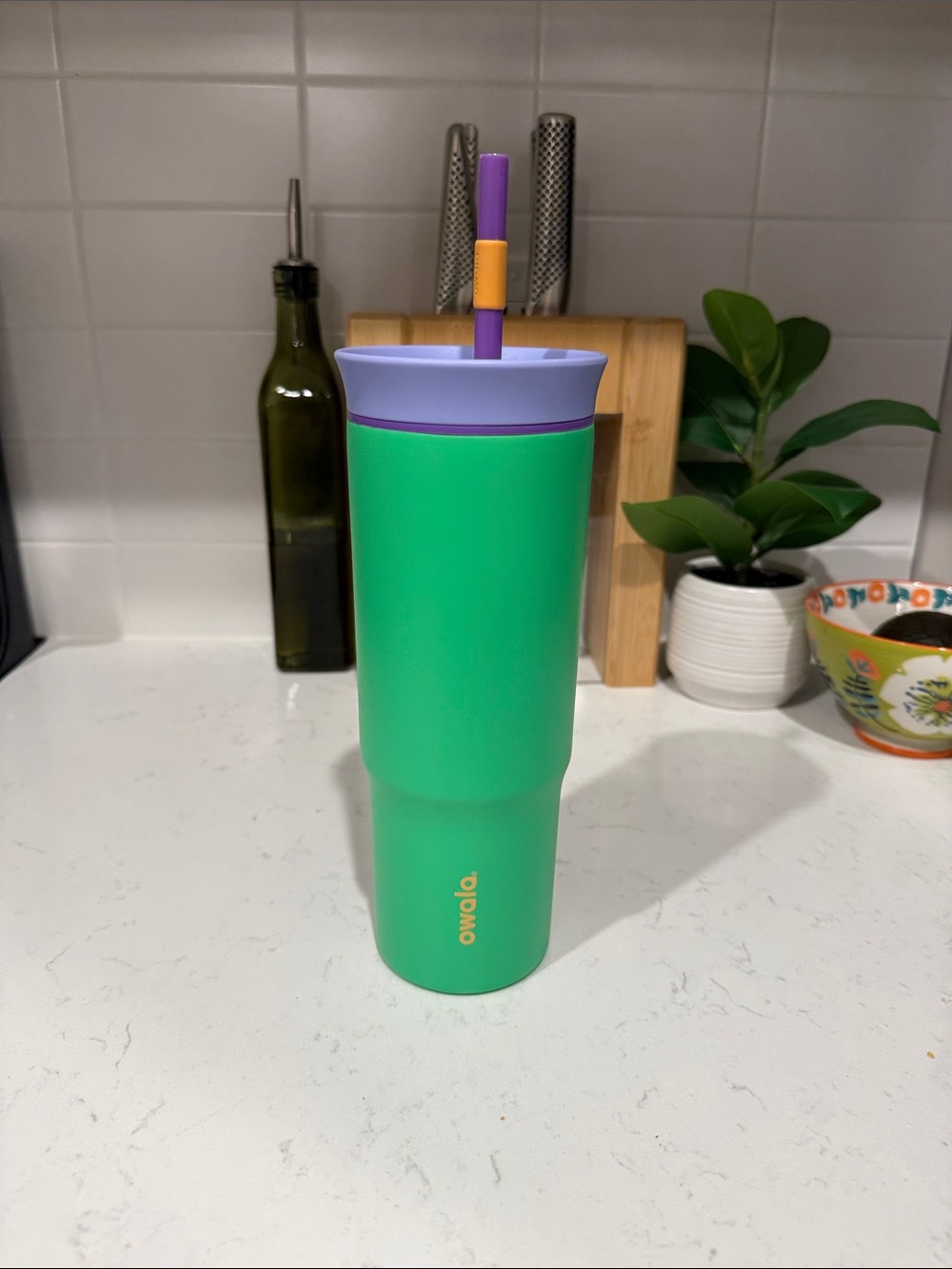 Owala 24oz Insulated Tumbler with Straw